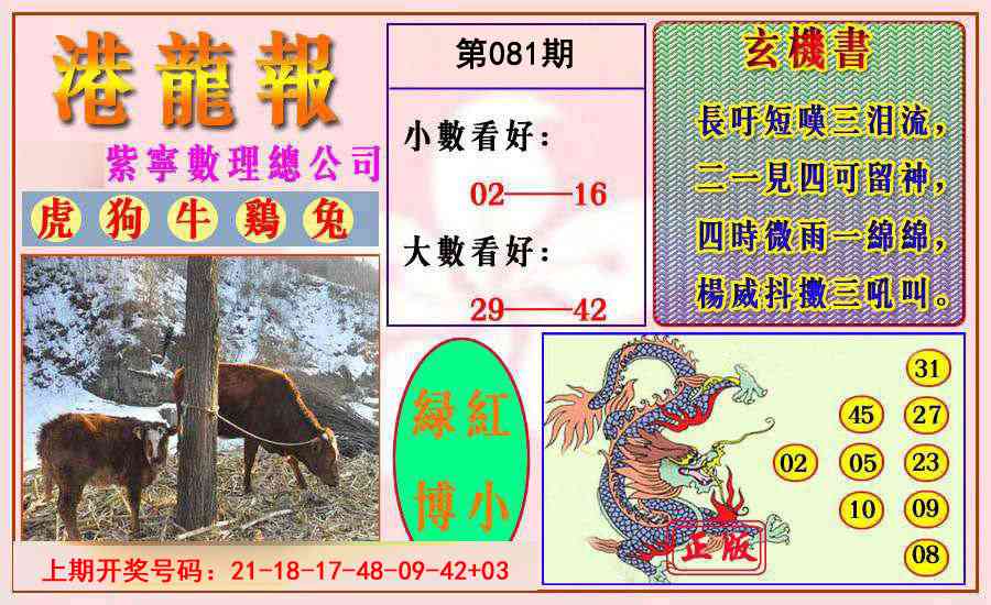 081期港龙报[图]
